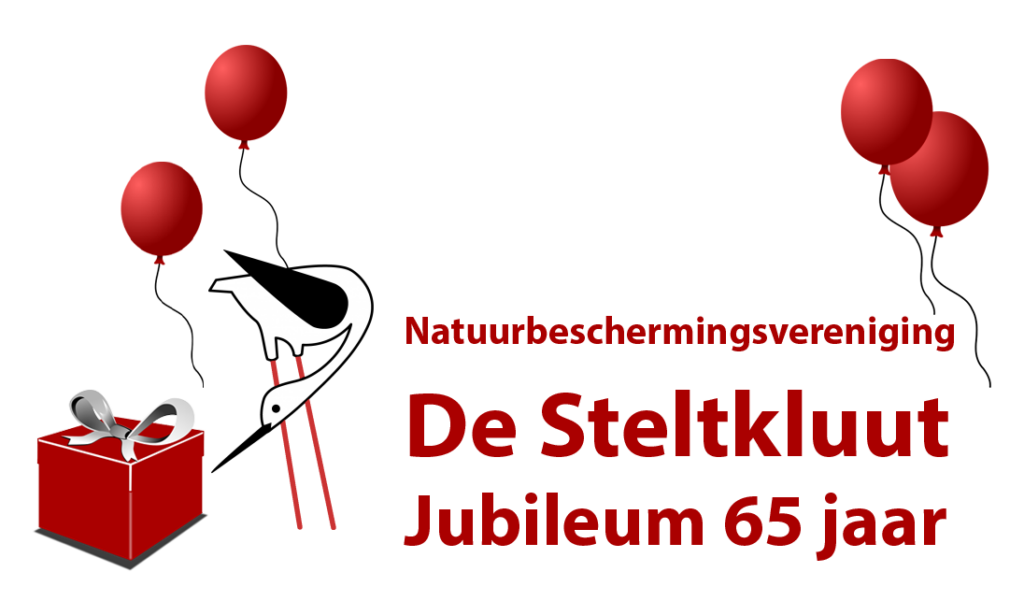 Jubileumfestival De Steltkluut 65 jaar