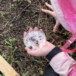 Nurdles, een bedreiging voor de natuur
